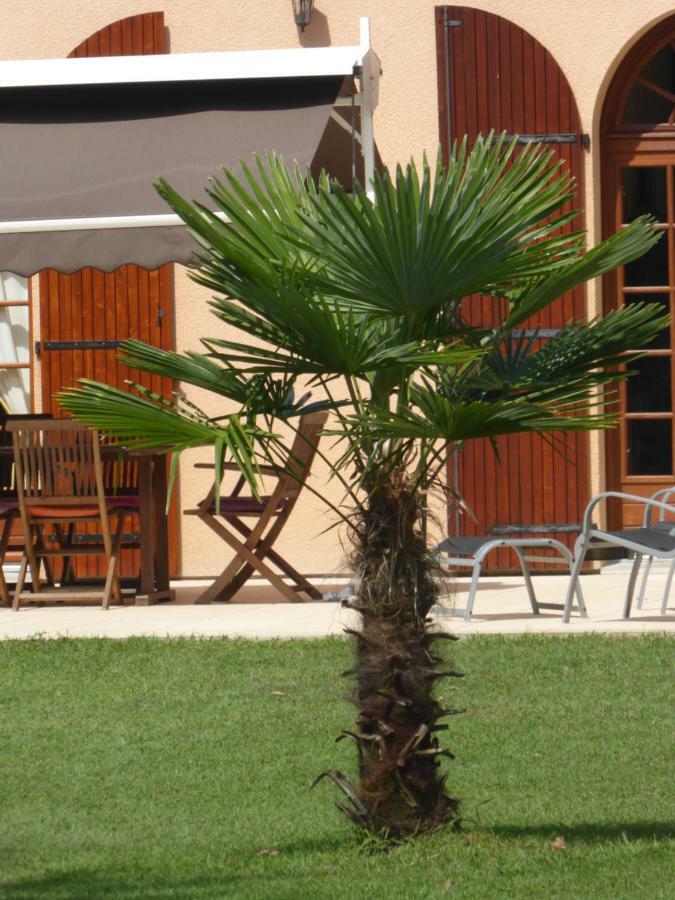 La Mimona Bed & Breakfast Sainte-Eulalie-en-Born Екстериор снимка