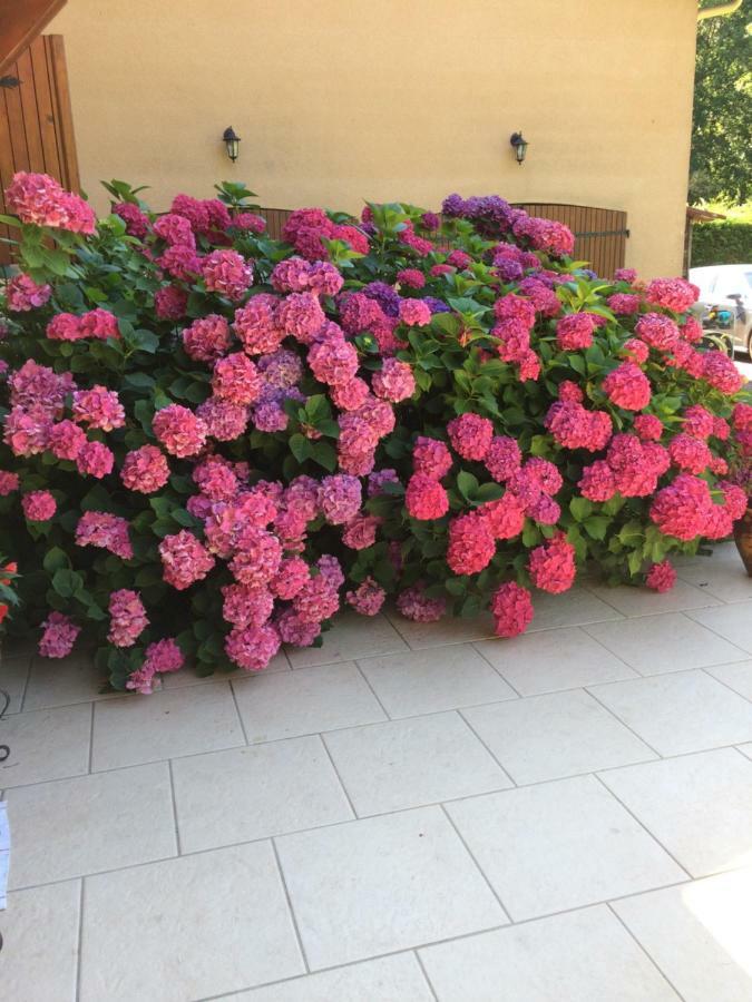 La Mimona Bed & Breakfast Sainte-Eulalie-en-Born Екстериор снимка
